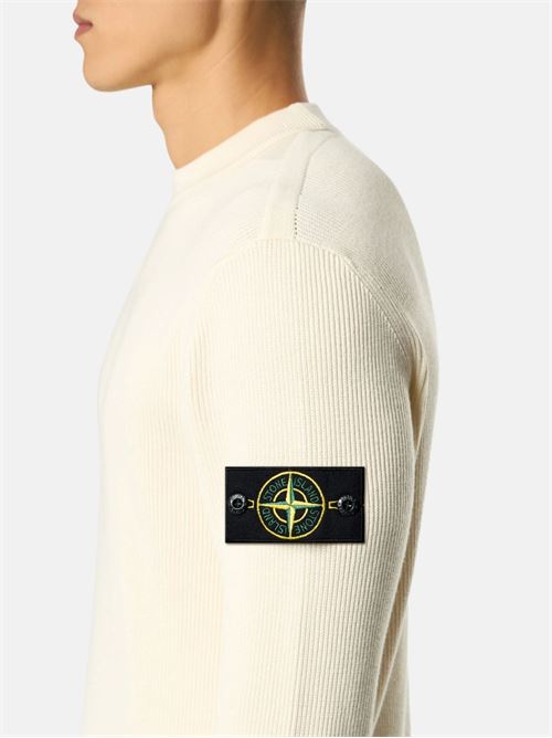 Crewneck Sweater with Logo STONE ISLAND | L1S155100154S00D8V0093